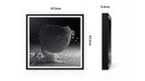 v1-33-black-4